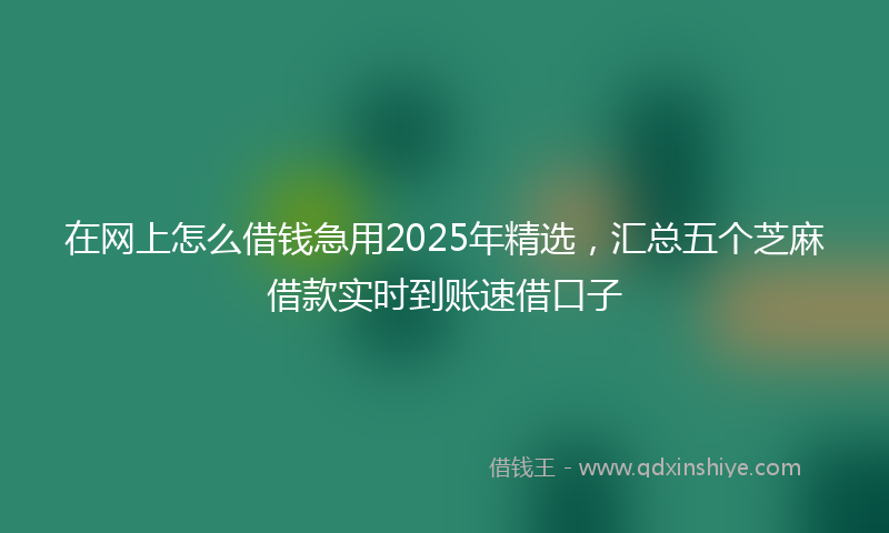 在网上怎么借钱急用2025年精选，汇总五个芝麻借款实时到账速借口子