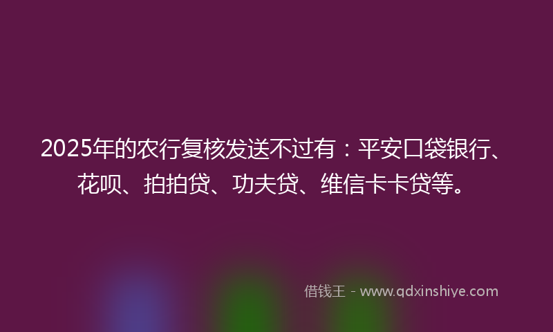 2025年的农行复核发送不过有：平安口袋银行、花呗、拍拍贷、功夫贷、维信卡卡贷等。