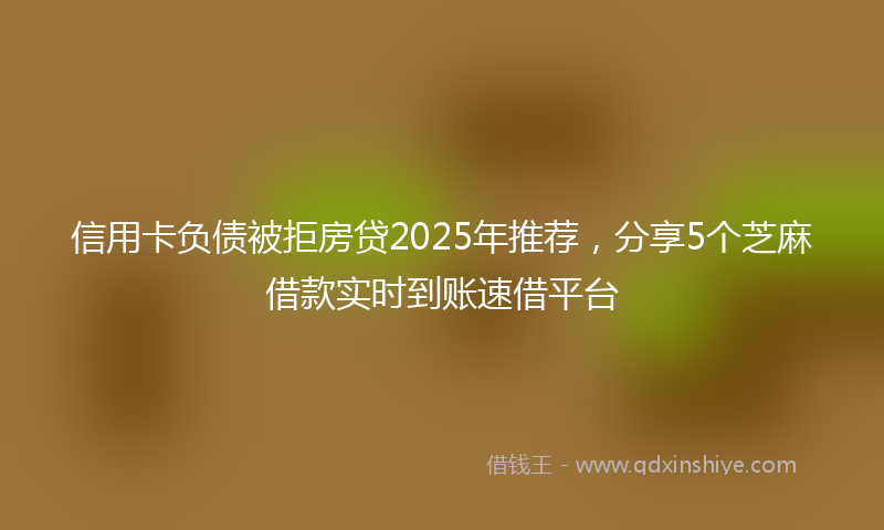 信用卡负债被拒房贷2025年推荐，分享5个芝麻借款实时到账速借平台