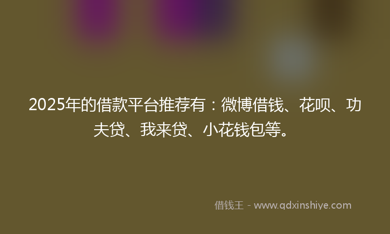 2025年的借款平台推荐有：微博借钱、花呗、功夫贷、我来贷、小花钱包等。