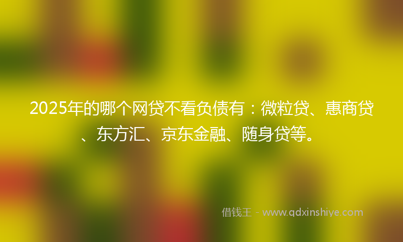 2025年的哪个网贷不看负债有：微粒贷、惠商贷、东方汇、京东金融、随身贷等。