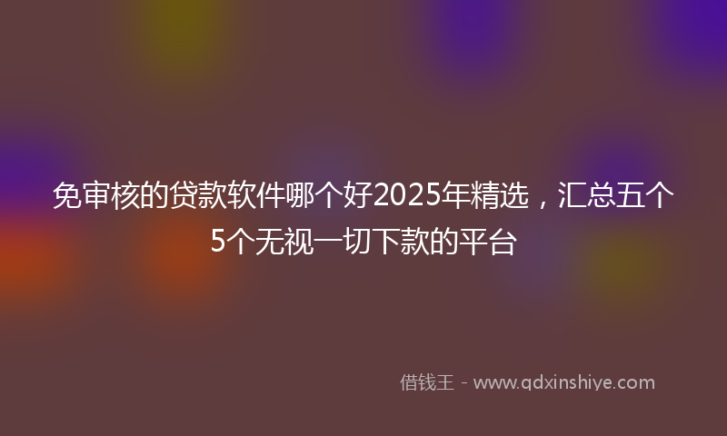 免审核的贷款软件哪个好2025年精选，汇总五个5个无视一切下款的平台
