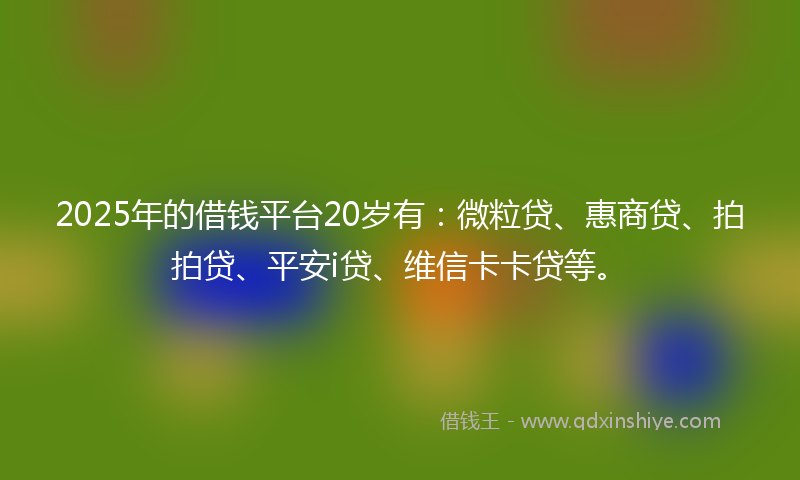 2025年的借钱平台20岁有：微粒贷、惠商贷、拍拍贷、平安i贷、维信卡卡贷等。