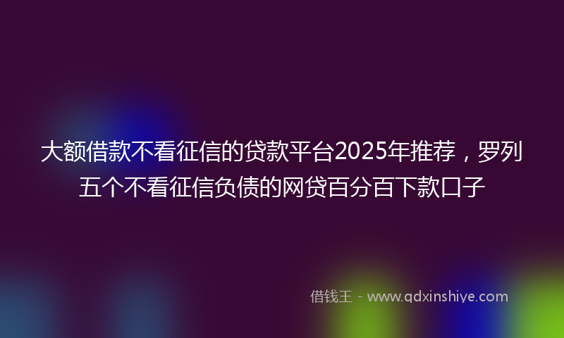 大额借款不看征信的贷款平台2025年推荐，罗列五个不看征信负债的网贷百分百下款口子