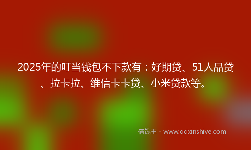 2025年的叮当钱包不下款有：好期贷、51人品贷、拉卡拉、维信卡卡贷、小米贷款等。