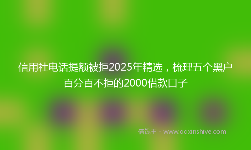 信用社电话提额被拒2025年精选，梳理五个黑户百分百不拒的2000借款口子