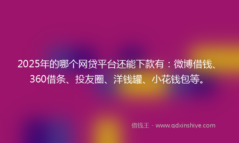 2025年的哪个网贷平台还能下款有：微博借钱、360借条、投友圈、洋钱罐、小花钱包等。