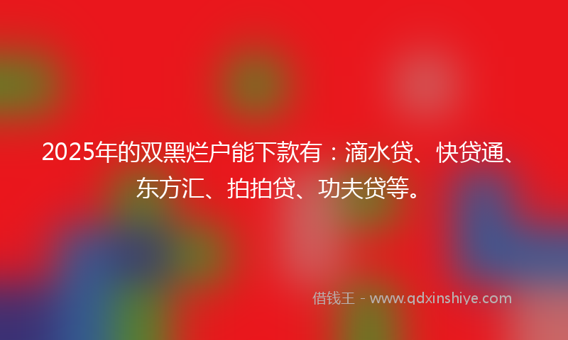 2025年的双黑烂户能下款有：滴水贷、快贷通、东方汇、拍拍贷、功夫贷等。