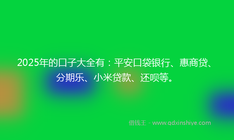 2025年的口子大全有：平安口袋银行、惠商贷、分期乐、小米贷款、还呗等。
