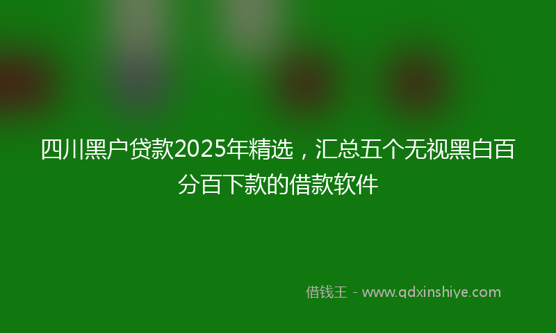 四川黑户贷款2025年精选，汇总五个无视黑白百分百下款的借款软件