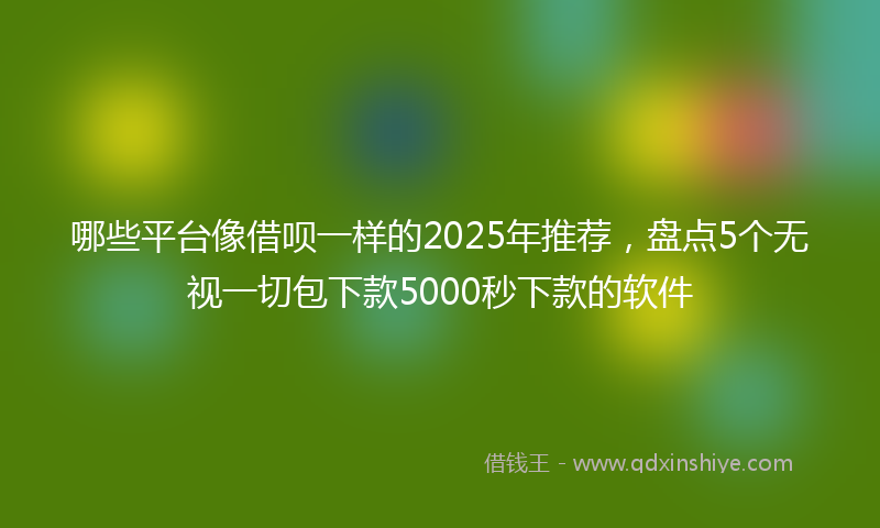 哪些平台像借呗一样的2025年推荐，盘点5个无视一切包下款5000秒下款的软件