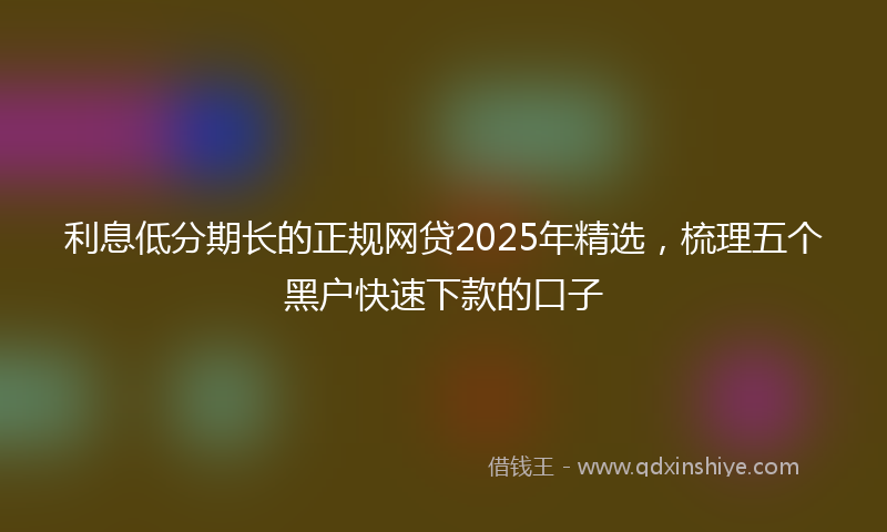 利息低分期长的正规网贷2025年精选，梳理五个黑户快速下款的口子