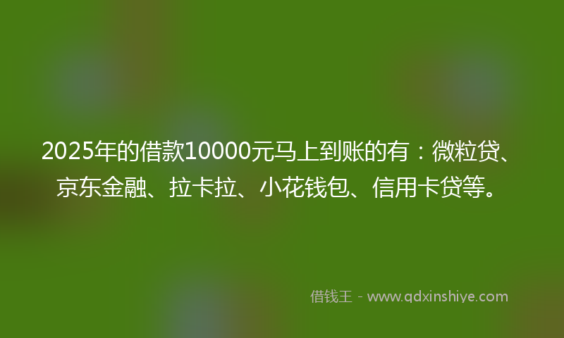 2025年的借款10000元马上到账的有：微粒贷、京东金融、拉卡拉、小花钱包、信用卡贷等。