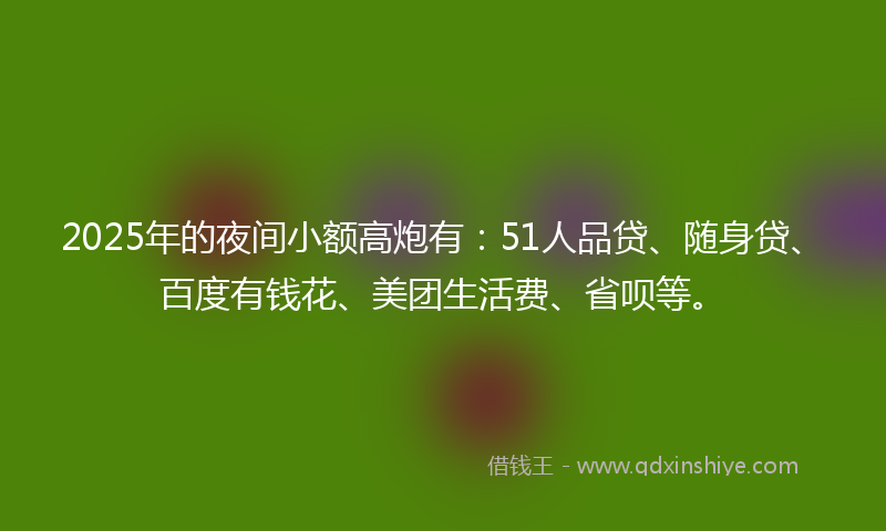 2025年的夜间小额高炮有：51人品贷、随身贷、百度有钱花、美团生活费、省呗等。