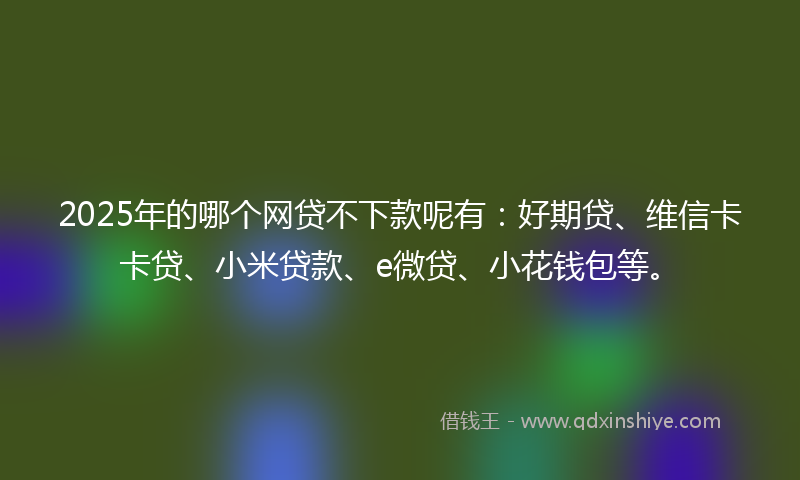 2025年的哪个网贷不下款呢有：好期贷、维信卡卡贷、小米贷款、e微贷、小花钱包等。