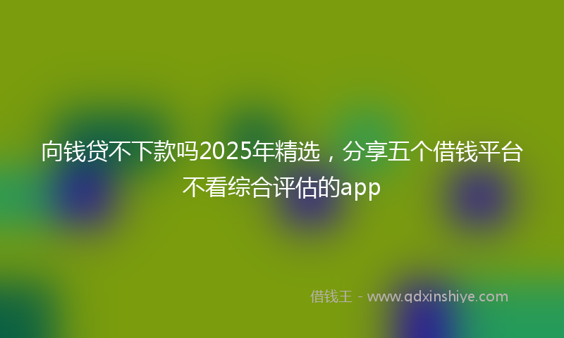 向钱贷不下款吗2025年精选，分享五个借钱平台不看综合评估的app
