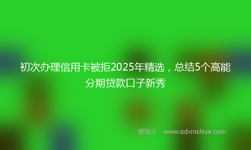 初次办理信用卡被拒2025年精选，总结5个高能分期贷款口子新秀