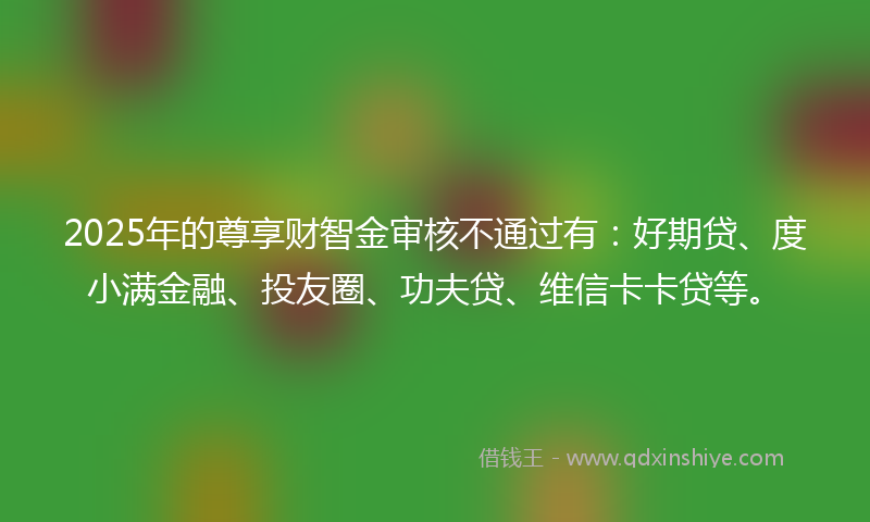 2025年的尊享财智金审核不通过有：好期贷、度小满金融、投友圈、功夫贷、维信卡卡贷等。