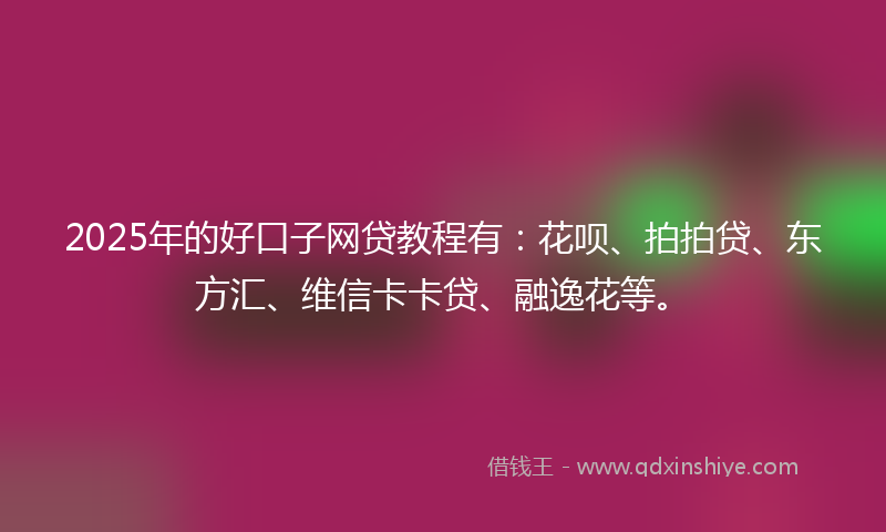 2025年的好口子网贷教程有：花呗、拍拍贷、东方汇、维信卡卡贷、融逸花等。
