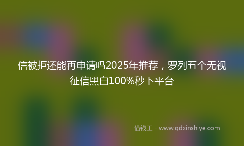 信被拒还能再申请吗2025年推荐，罗列五个无视征信黑白100%秒下平台