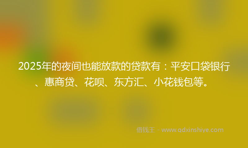 2025年的夜间也能放款的贷款有：平安口袋银行、惠商贷、花呗、东方汇、小花钱包等。