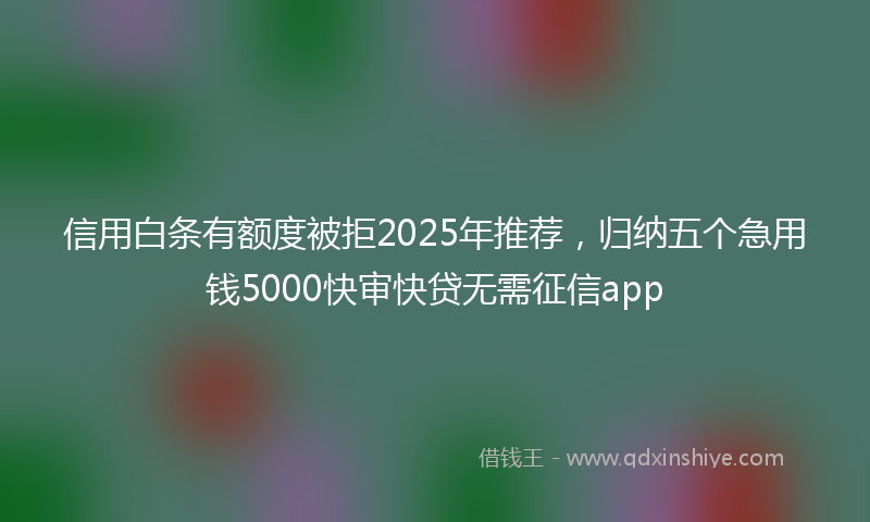 信用白条有额度被拒2025年推荐，归纳五个急用钱5000快审快贷无需征信app