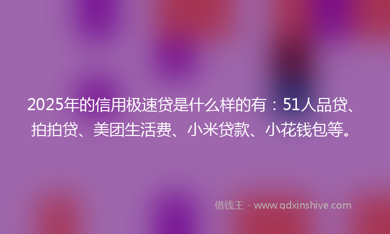 2025年的信用极速贷是什么样的有：51人品贷、拍拍贷、美团生活费、小米贷款、小花钱包等。