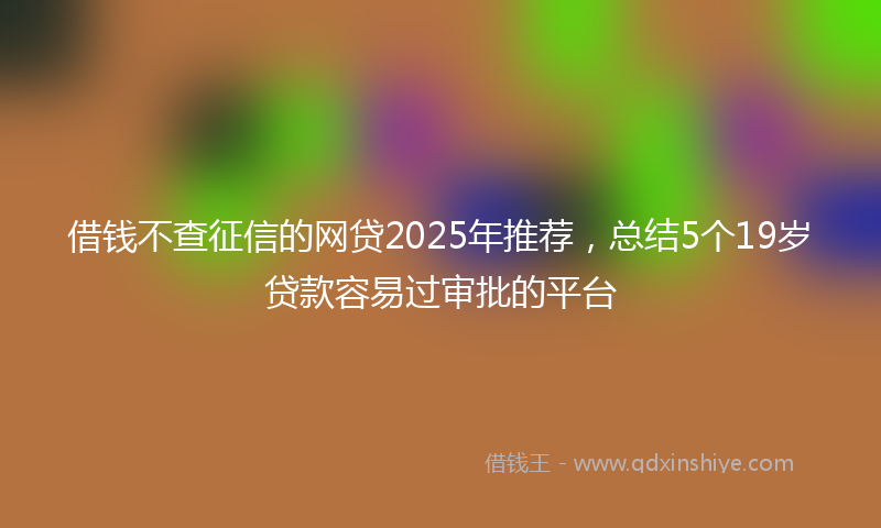 借钱不查征信的网贷2025年推荐，总结5个19岁贷款容易过审批的平台