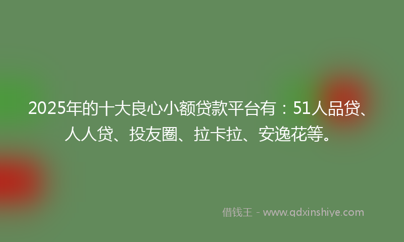 2025年的十大良心小额贷款平台有：51人品贷、人人贷、投友圈、拉卡拉、安逸花等。