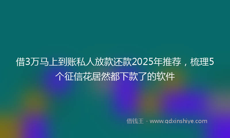 借3万马上到账私人放款还款2025年推荐，梳理5个征信花居然都下款了的软件