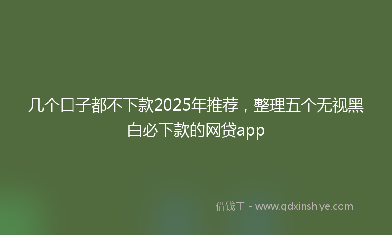 几个口子都不下款2025年推荐，整理五个无视黑白必下款的网贷app