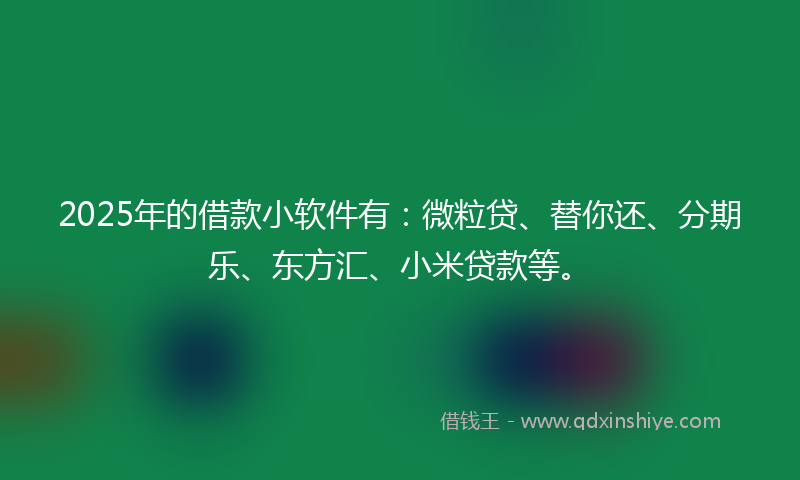 2025年的借款小软件有：微粒贷、替你还、分期乐、东方汇、小米贷款等。