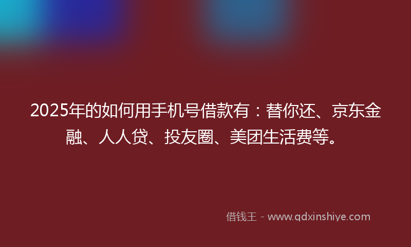 2025年的如何用手机号借款有：替你还、京东金融、人人贷、投友圈、美团生活费等。