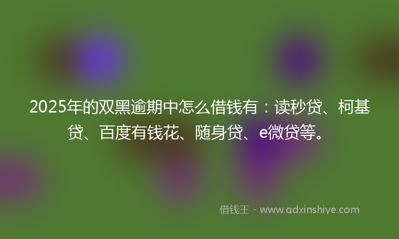 2025年的双黑逾期中怎么借钱有：读秒贷、柯基贷、百度有钱花、随身贷、e微贷等。