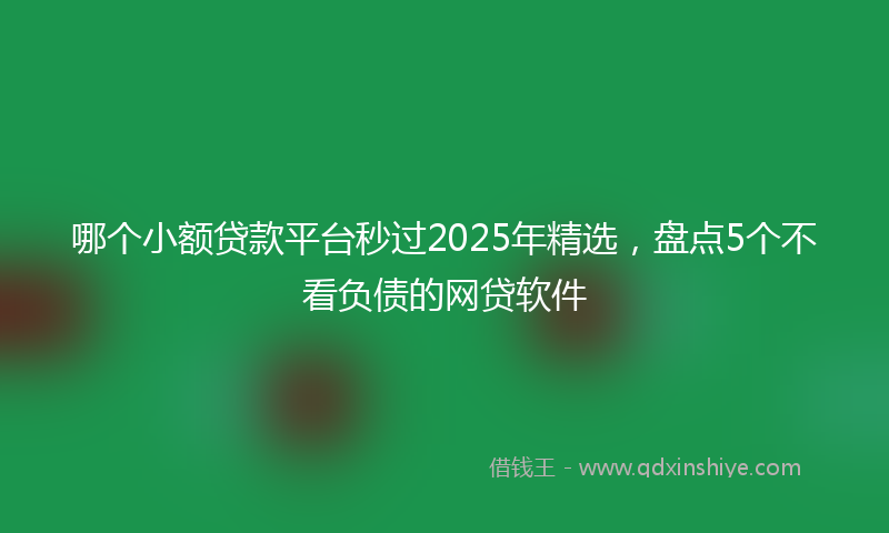 哪个小额贷款平台秒过2025年精选，盘点5个不看负债的网贷软件