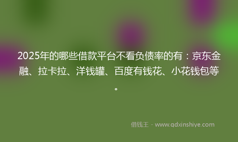 2025年的哪些借款平台不看负债率的有：京东金融、拉卡拉、洋钱罐、百度有钱花、小花钱包等。