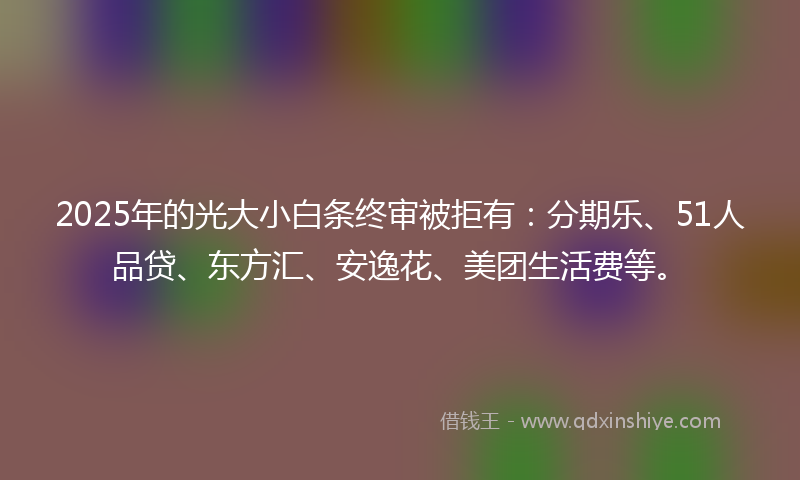 2025年的光大小白条终审被拒有：分期乐、51人品贷、东方汇、安逸花、美团生活费等。