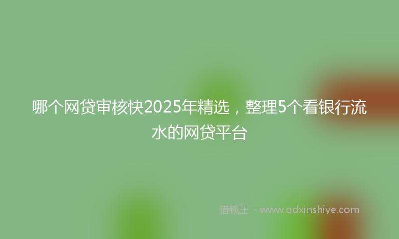哪个网贷审核快2025年精选，整理5个看银行流水的网贷平台