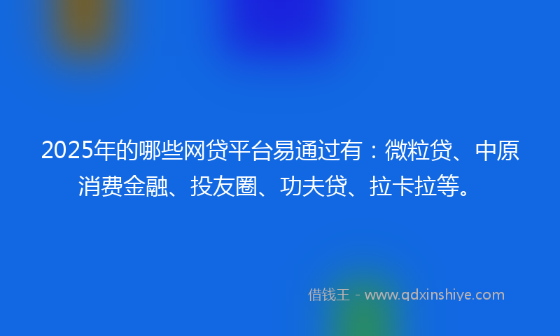 2025年的哪些网贷平台易通过有：微粒贷、中原消费金融、投友圈、功夫贷、拉卡拉等。