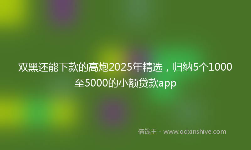 双黑还能下款的高炮2025年精选，归纳5个1000至5000的小额贷款app