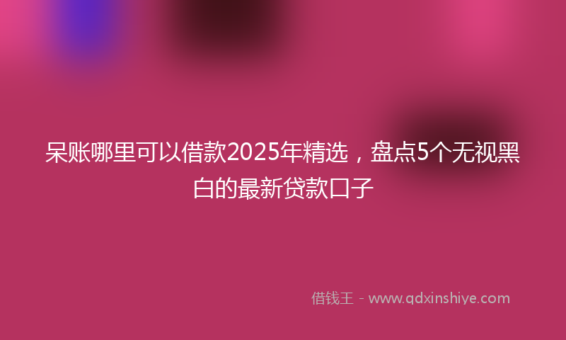呆账哪里可以借款2025年精选，盘点5个无视黑白的最新贷款口子