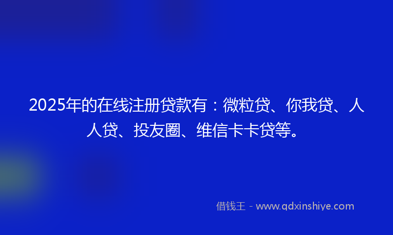 2025年的在线注册贷款有：微粒贷、你我贷、人人贷、投友圈、维信卡卡贷等。