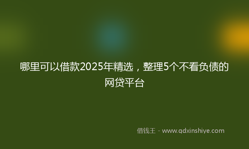 哪里可以借款2025年精选，整理5个不看负债的网贷平台