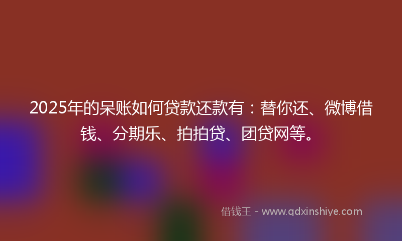 2025年的呆账如何贷款还款有：替你还、微博借钱、分期乐、拍拍贷、团贷网等。