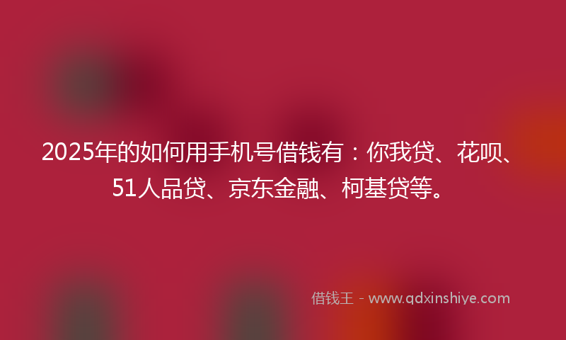 2025年的如何用手机号借钱有：你我贷、花呗、51人品贷、京东金融、柯基贷等。