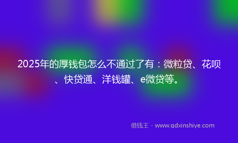 2025年的厚钱包怎么不通过了有：微粒贷、花呗、快贷通、洋钱罐、e微贷等。