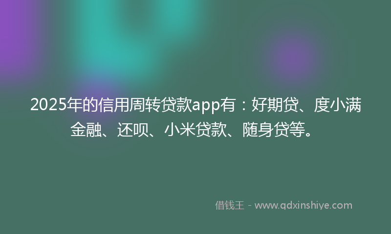 2025年的信用周转贷款app有：好期贷、度小满金融、还呗、小米贷款、随身贷等。
