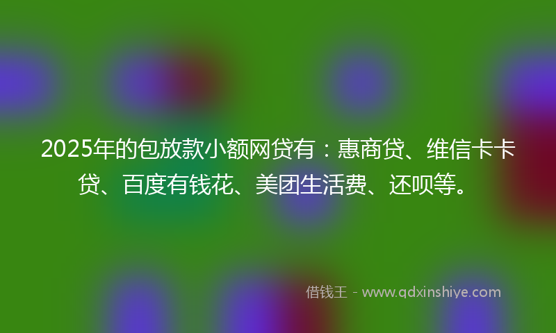2025年的包放款小额网贷有：惠商贷、维信卡卡贷、百度有钱花、美团生活费、还呗等。