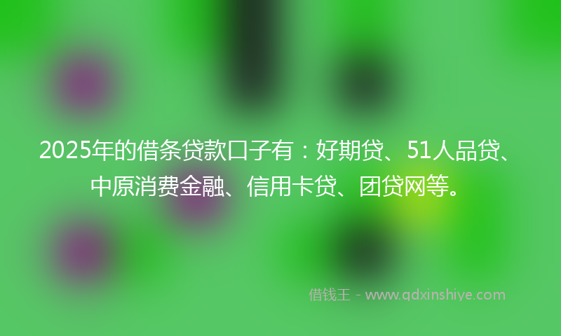 2025年的借条贷款口子有：好期贷、51人品贷、中原消费金融、信用卡贷、团贷网等。
