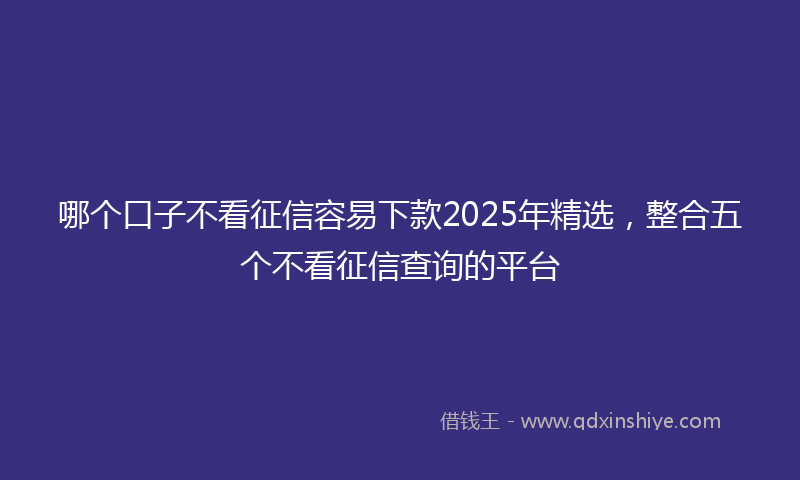哪个口子不看征信容易下款2025年精选，整合五个不看征信查询的平台
